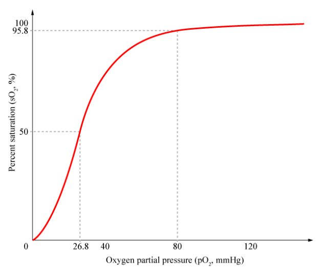 Gas Exchange at the Respiratory Membrane | Interactive Biology, with ...